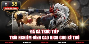 Đá Gà Trực Tiếp - Trải Nghiệm Đỉnh Cao BJ38 Cho Kê Thủ