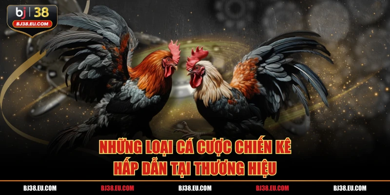 Những loại cá cược chiến kê hấp dẫn tại thương hiệu 